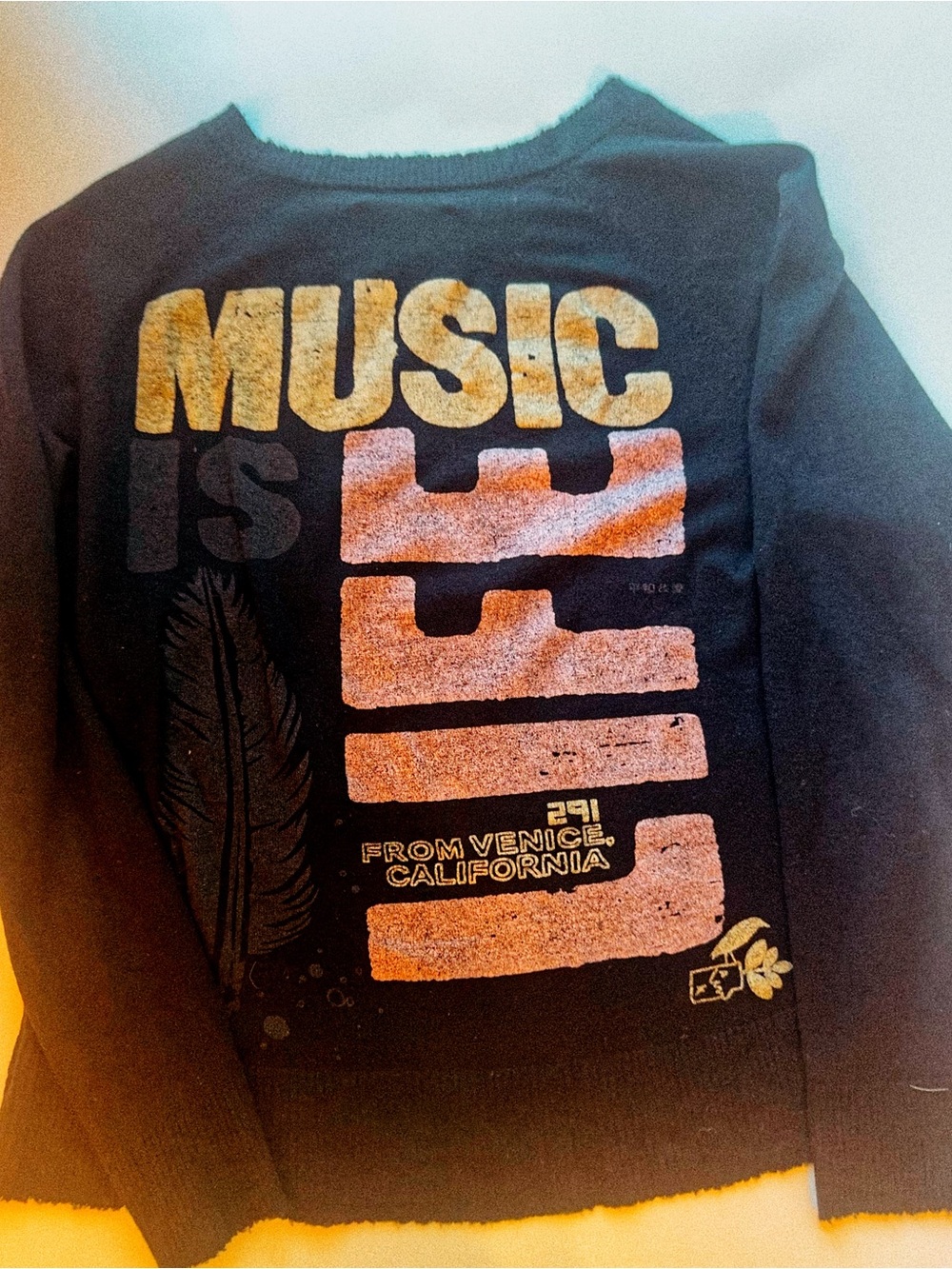 Soul N Soul • 100% Cashmere • Venice Beach Graphic Sweater • Music Is Life